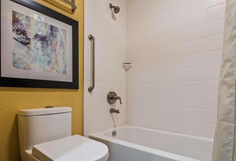 غرفة قياسية, Best Western Dewitt