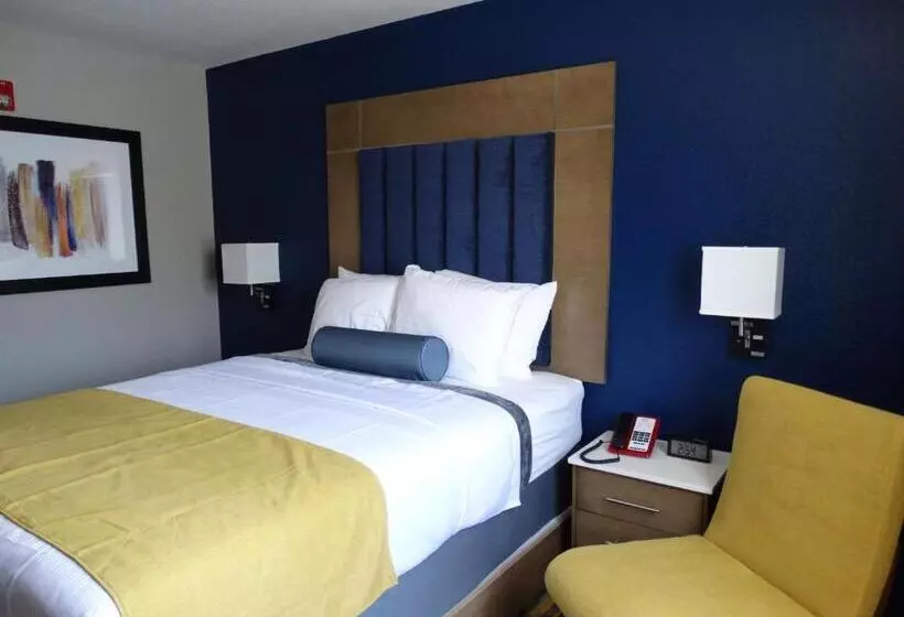 身障者適用スタンダードルーム, Best Western Dewitt