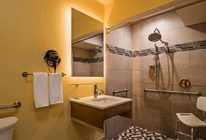 غرفة قياسية لذوى الاحتياجات الخاصة, Best Western Dewitt
