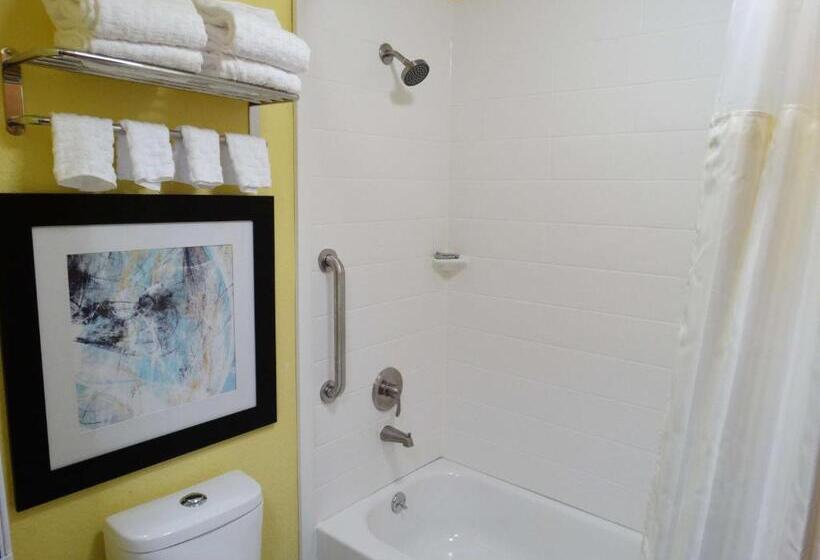 غرفة قياسية لذوى الاحتياجات الخاصة, Best Western Dewitt