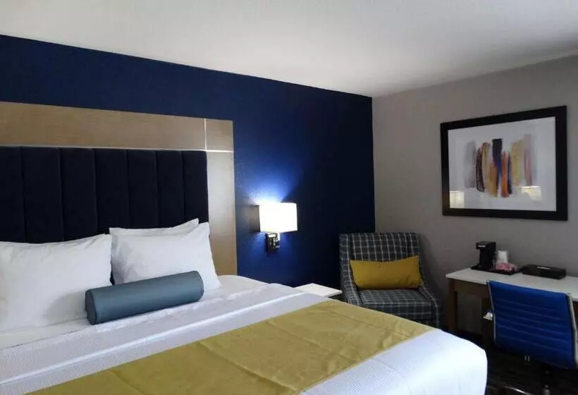 バルコニー付スイート, Best Western Dewitt