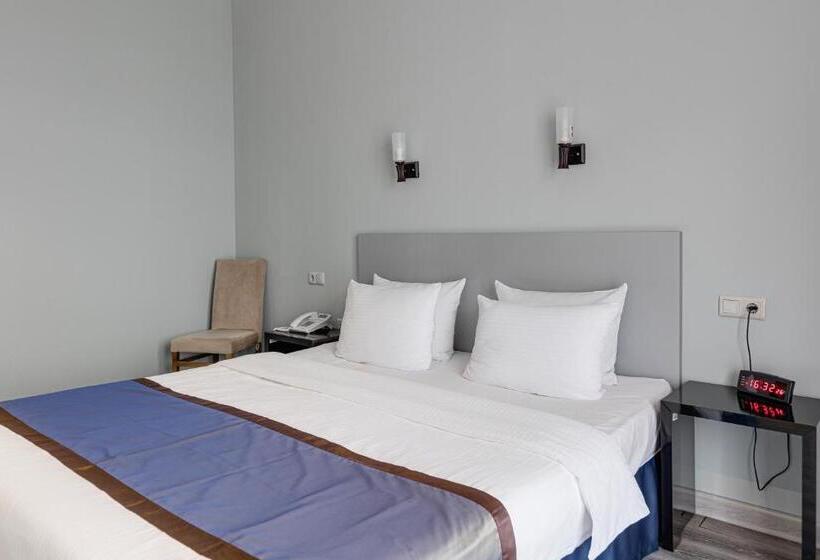 اتاق استاندارد با تخت بزرگ, Best Western Tbilisi Art