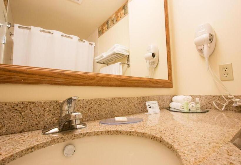 غرفة ديلوكس سرير كينج, Blue Gate Garden Inn