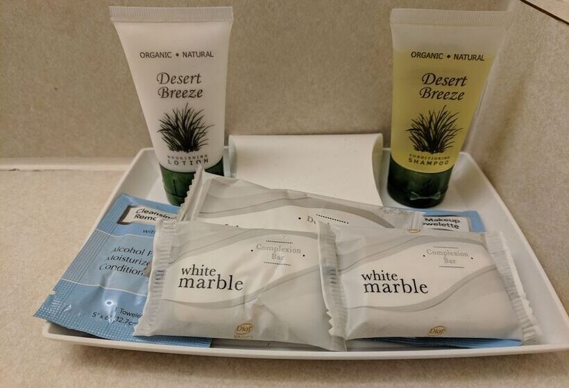 اتاق لوکس, Broadway Inn Conference Center