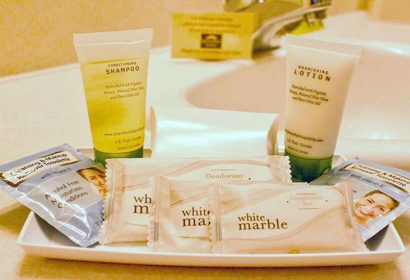 اتاق لوکس, Broadway Inn Conference Center