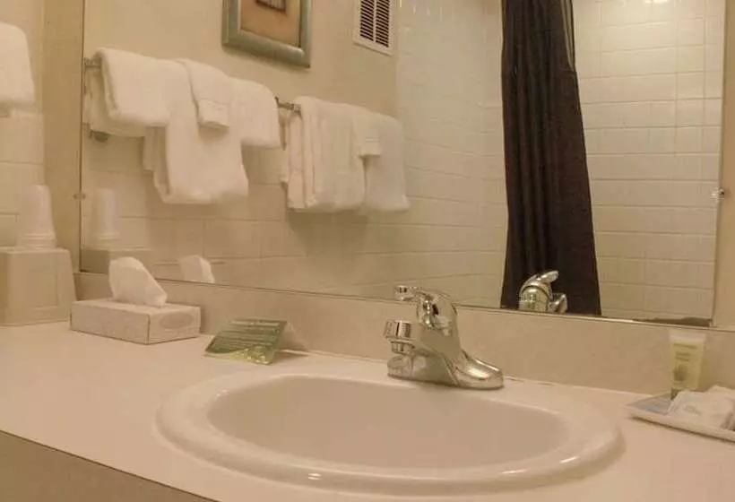 スーペリアールーム, Broadway Inn Conference Center