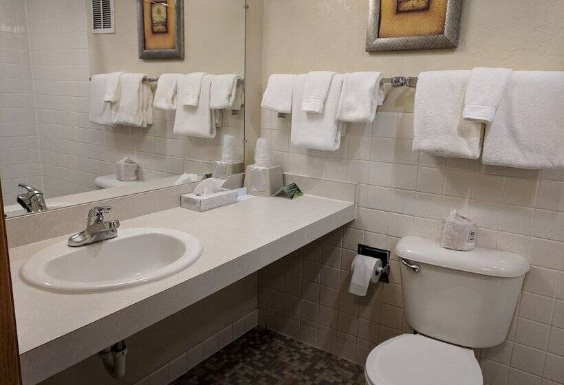 اتاق سوپریور, Broadway Inn Conference Center