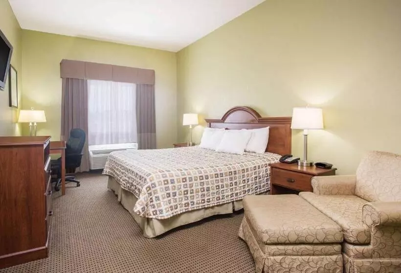 キングサイズベッドのスタンダードルーム, Days Inn & Suites By Wyndham Swainsboro