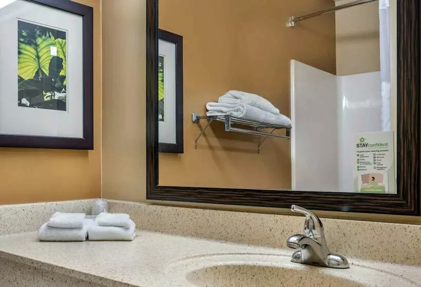 スイート, Mainstay Suites Las Vegas Flamingo
