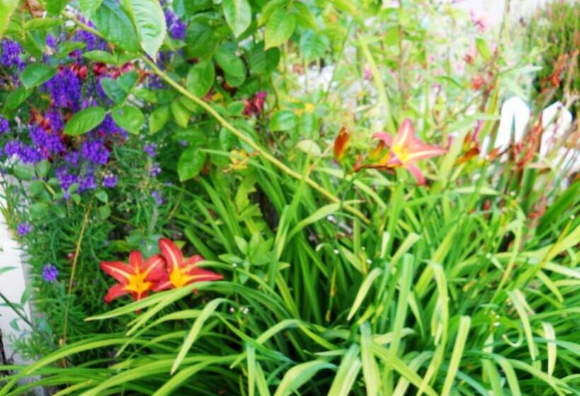 חדר סטנדרט עם מיטת קינג, Hill House Inn