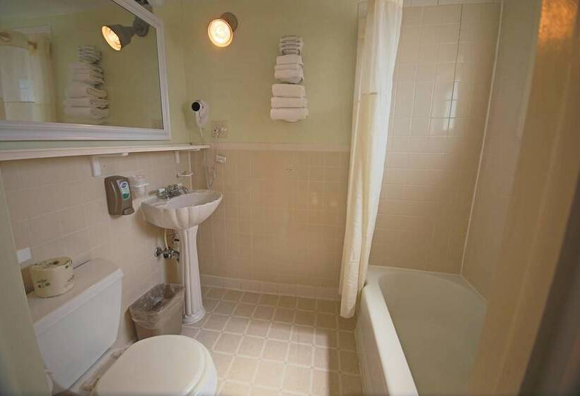 Standard Room 2 Double Beds