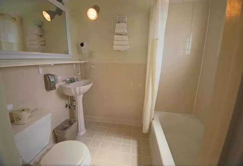 Standard Room 2 Double Beds