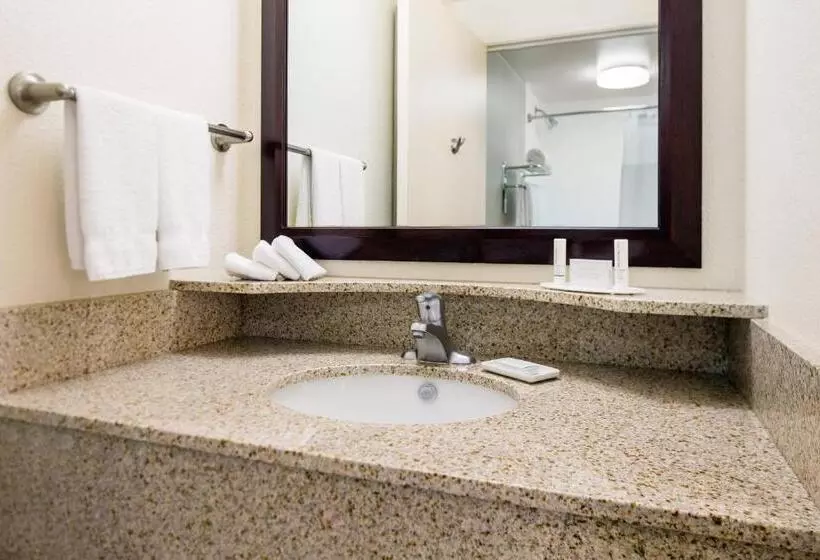 キングサイズベッドのスイートルーム, Springhill Suites Bakersfield