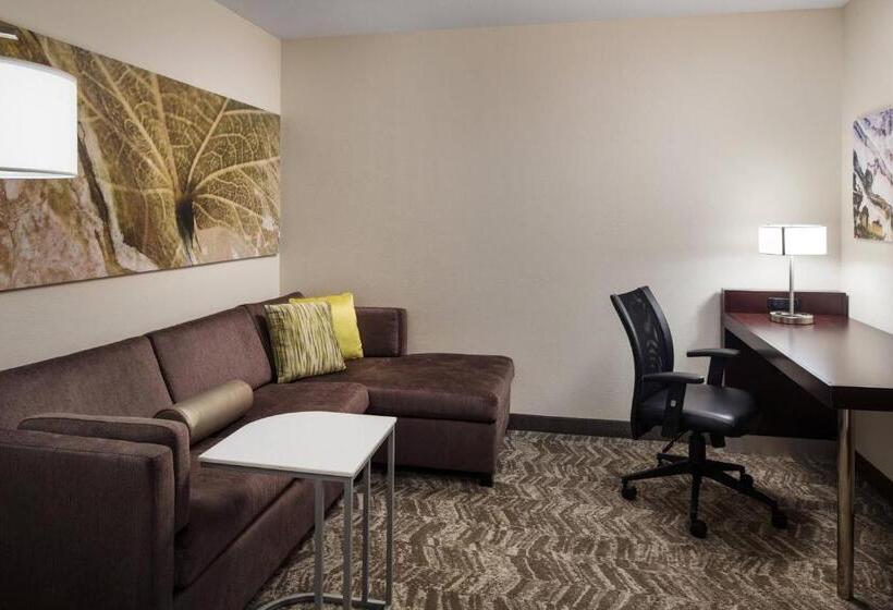带大床的套房, Springhill Suites Bakersfield