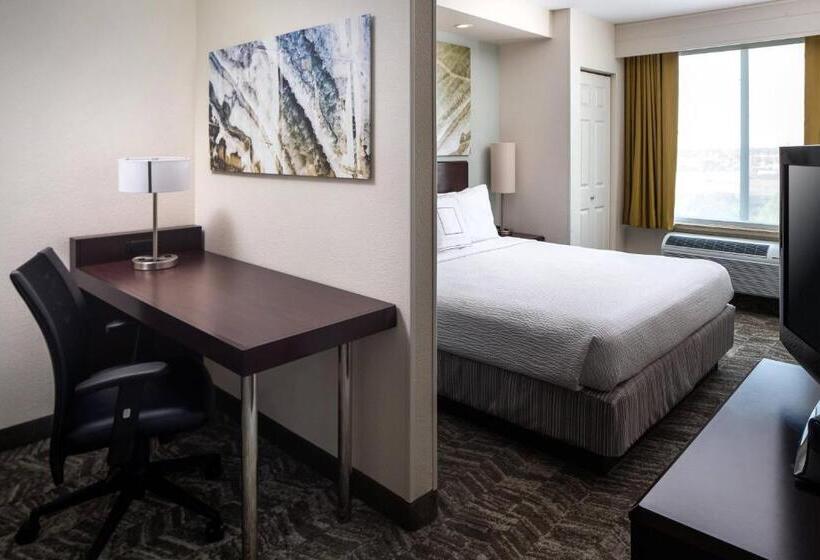 带大床的套房, Springhill Suites Bakersfield