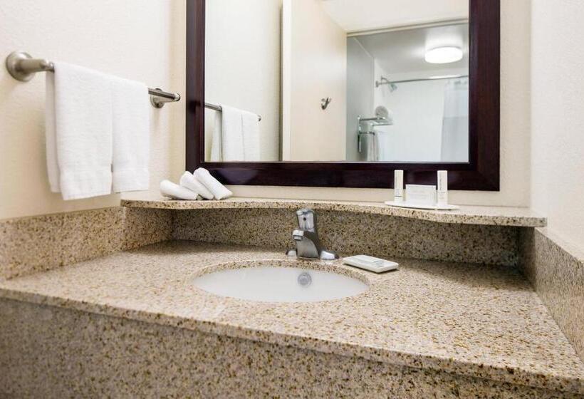 套房, Springhill Suites Bakersfield