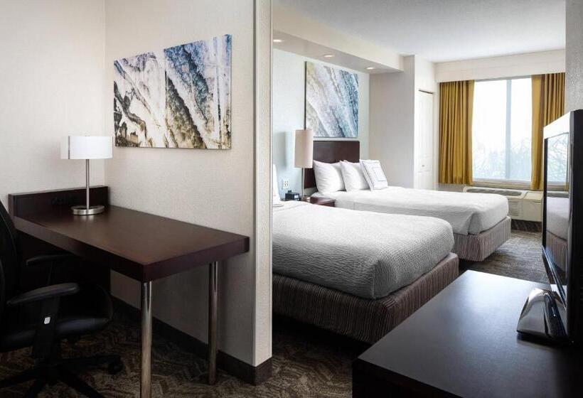 套房, Springhill Suites Bakersfield