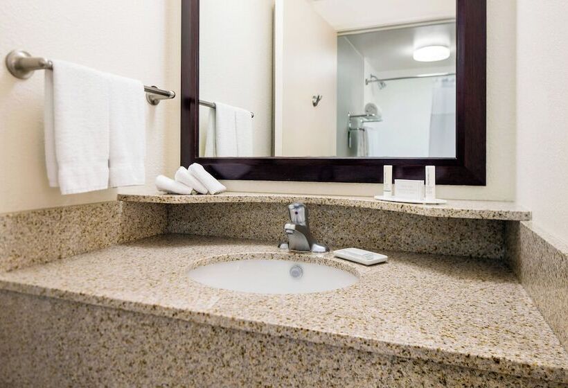 套房, Springhill Suites Bakersfield