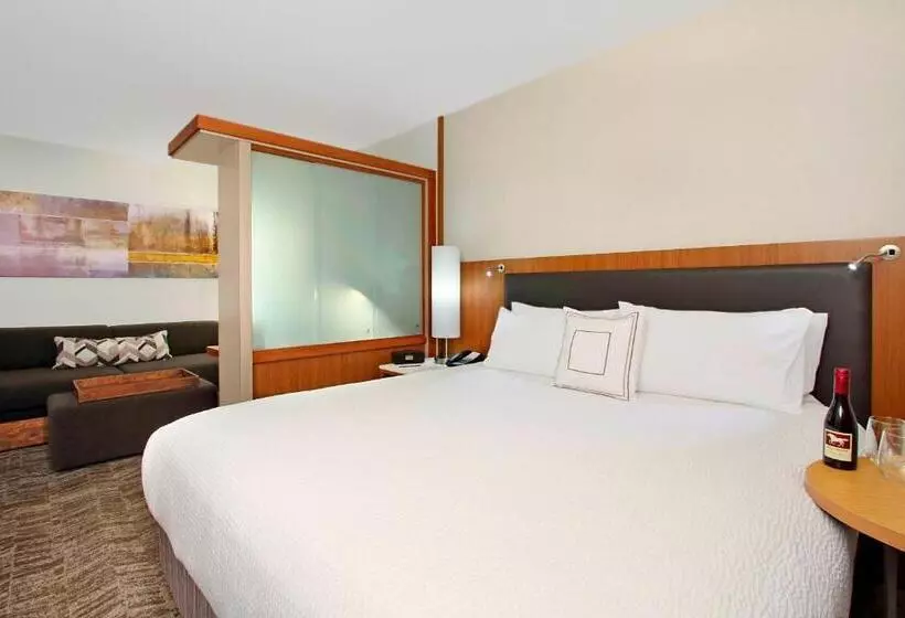 キングサイドベッドのスタンダードワンルーム, Springhill Suites By Marriott Madera
