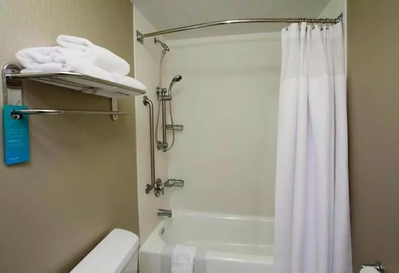 キングサイドベッドのスタンダードワンルーム, Springhill Suites By Marriott Madera
