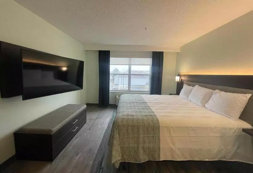 キングサイズベッドのスイートルーム, Wingate By Wyndham Waldorf   Washington Dc Area