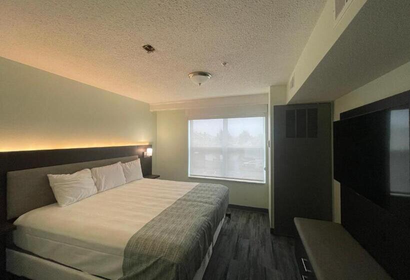 キングサイズベッドのスイートルーム, Wingate By Wyndham Waldorf   Washington Dc Area