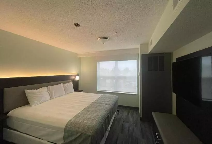 キングサイズベッドのスイートルーム, Wingate By Wyndham Waldorf   Washington Dc Area