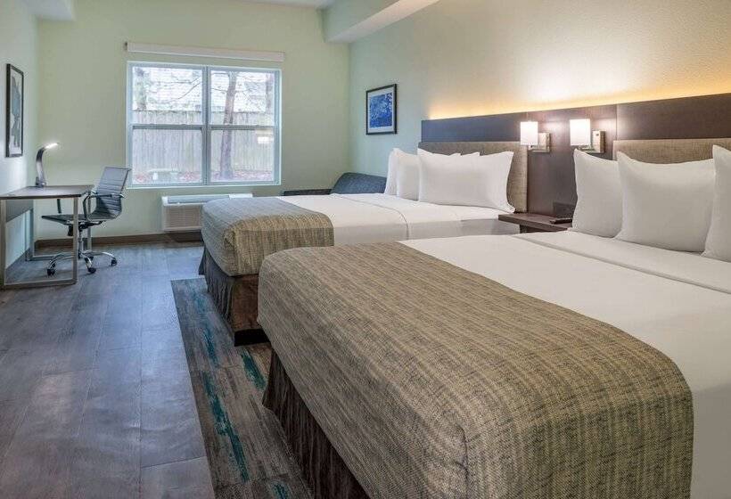 身障者適用スタンダードルーム, Wingate By Wyndham Waldorf   Washington Dc Area