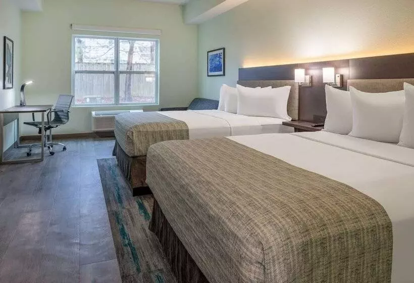 身障者適用スタンダードルーム, Wingate By Wyndham Waldorf   Washington Dc Area