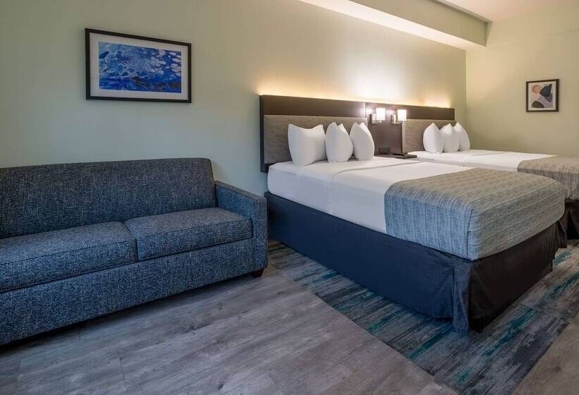 スタンダードルーム, Wingate By Wyndham Waldorf   Washington Dc Area