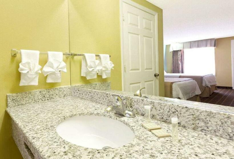 اتاق استاندارد با تخت بزرگ, Rodeway Inn Charlotte Airport Area