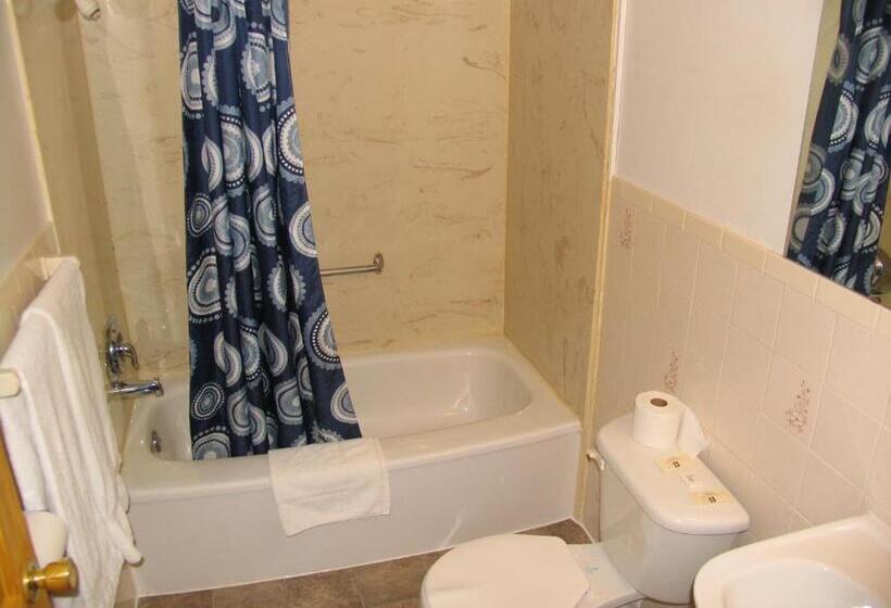 Номер Стандарт 2 Двуспальные Кровати, Seven Oakes Motel