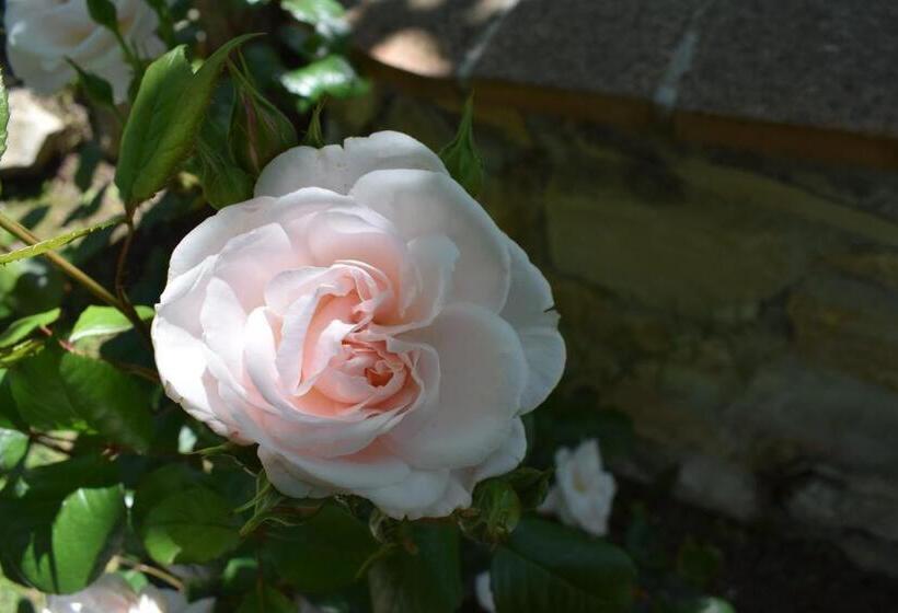 ２ベッドルームアパートメント, Casale Asciolo