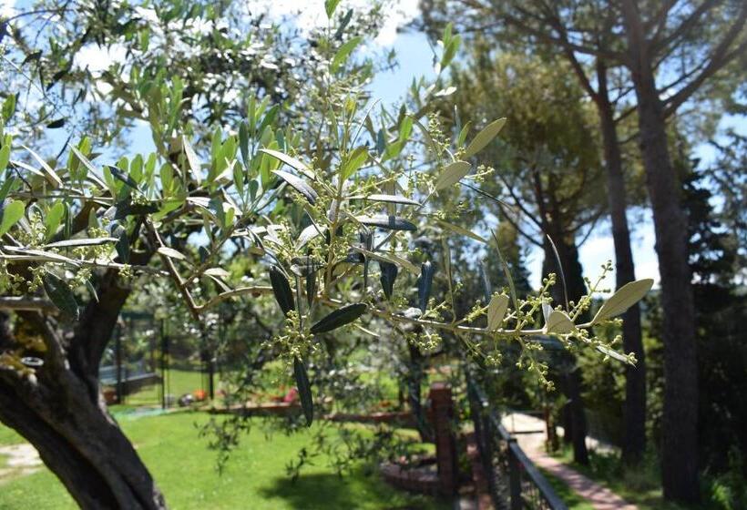 Апартаменты 2 Спальни, Casale Asciolo