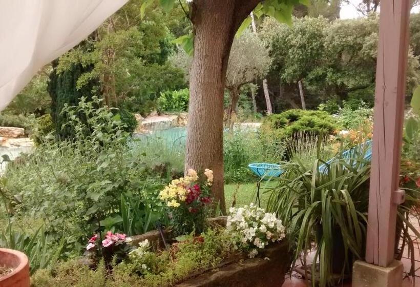 דירת שני חדרים, La Bousquatière