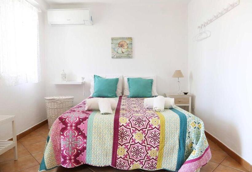 إستوديو قياسى مزودة بتراس, Casa Ardomar