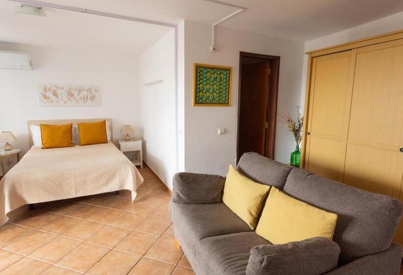 إستوديو قياسى مزودة بتراس, Casa Ardomar