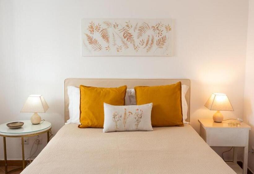 إستوديو قياسى مزودة بتراس, Casa Ardomar