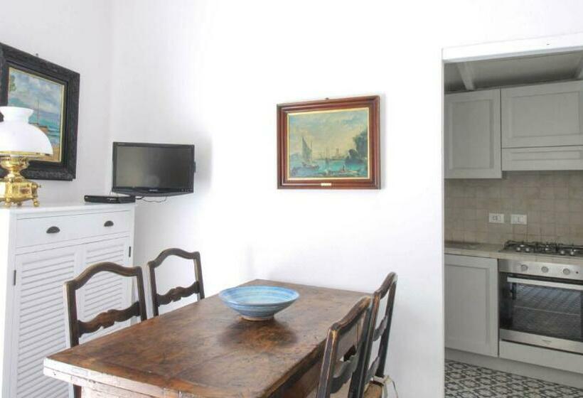 آپارتمان 1 خوابه با تراس, La Nave