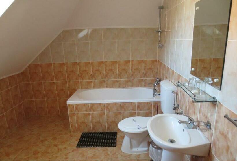 חדר סטנדרט, Pensiunea Hera