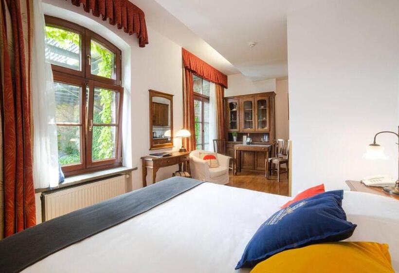 اتاق لوکس, Aparthotel Hornigold W Zielonej Kamienicy