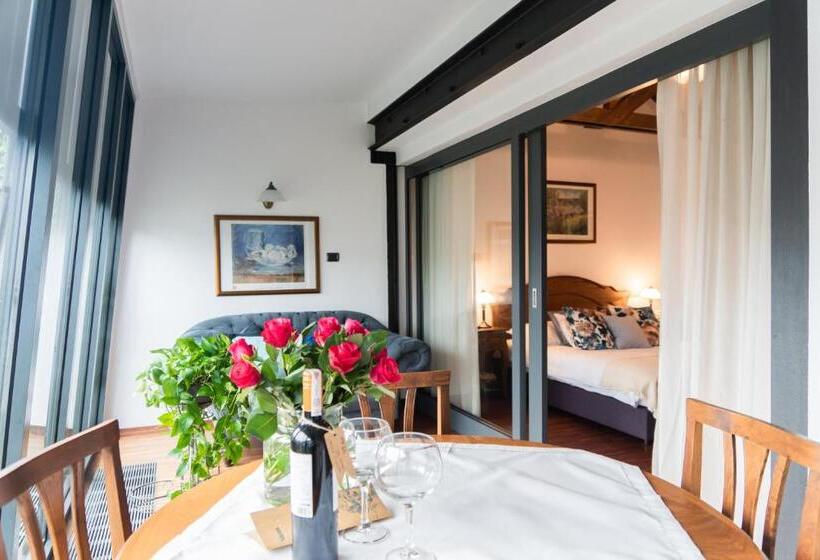 آپارتمان لوکس 1 خوابه, Aparthotel Hornigold W Zielonej Kamienicy