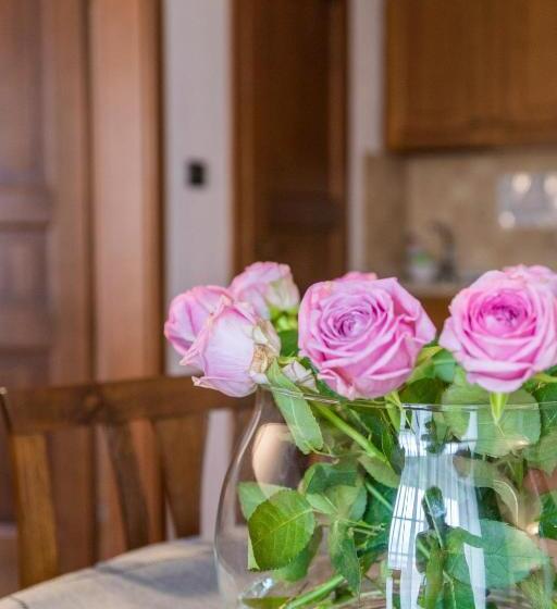 آپارتمان لوکس 2 خوابه, Aparthotel Hornigold W Zielonej Kamienicy