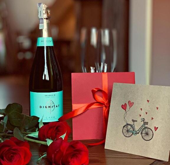 اتاق پرمیوم, Aparthotel Hornigold W Zielonej Kamienicy