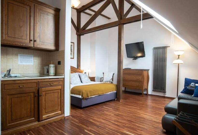 اتاق لوکس, Aparthotel Hornigold W Zielonej Kamienicy