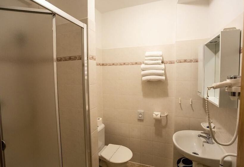 スタンダードルーム, Vz Bedřichov