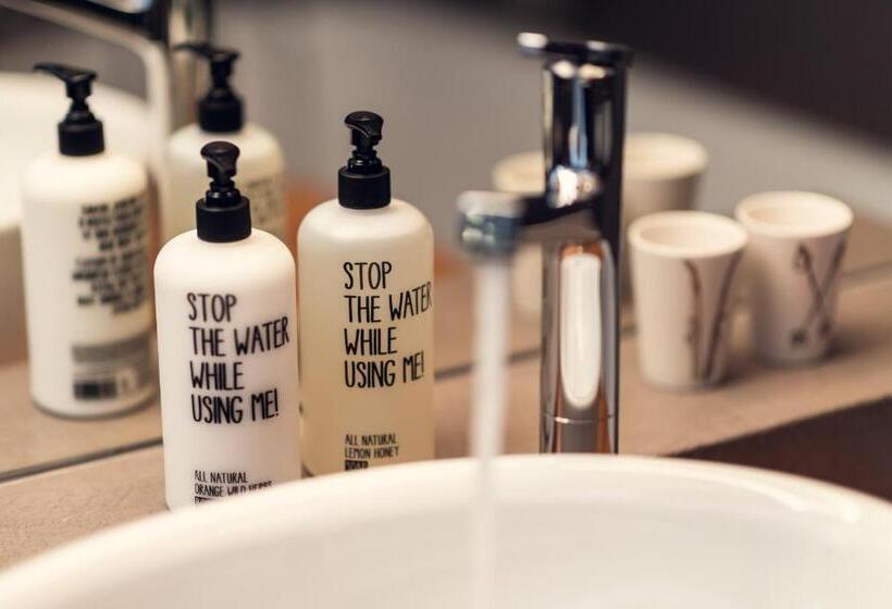 חדר סטנדרט, Conrad's Mountain Lodge