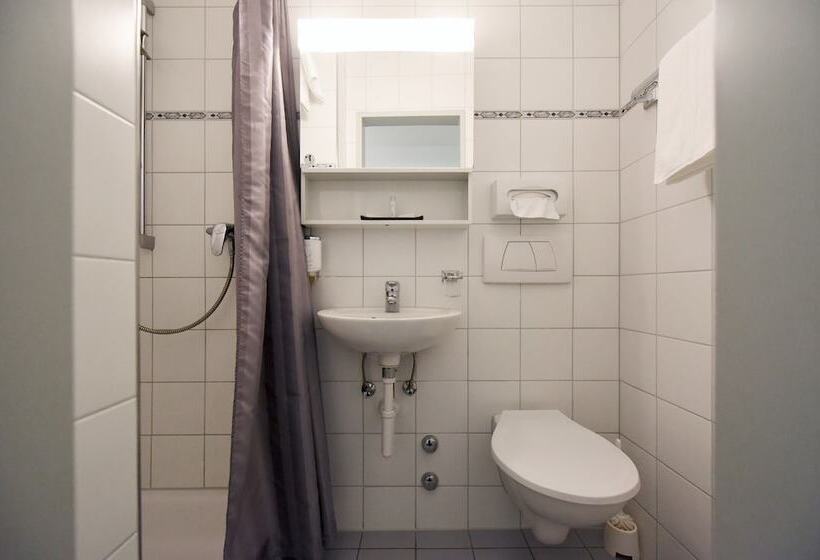اتاق استاندارد یک نفره, Hirschen