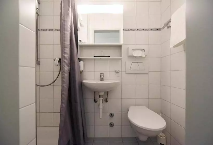 اتاق استاندارد یک نفره, Hirschen