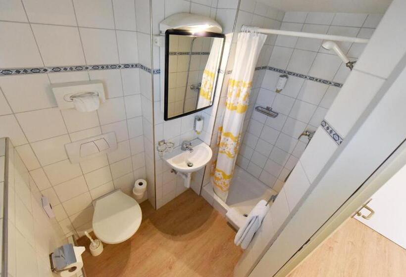 اتاق عادی با تخت دوبل, Hirschen